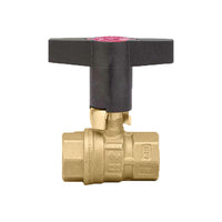 NA545356 Caleffi 1" NPT Female Union, Isolation Valves